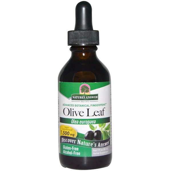 Natures Answer, Olive leaf extract, 60ml